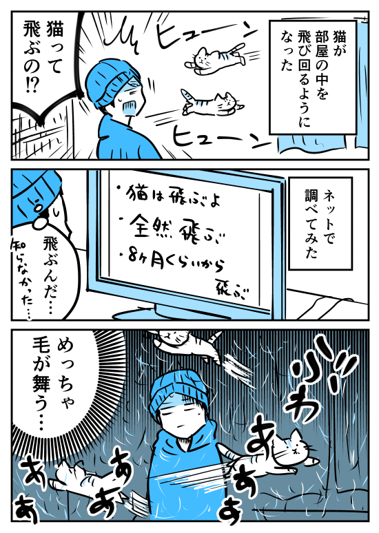 飼ってる猫が空を飛ぶようになった